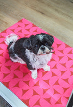 Afbeelding in Gallery-weergave laden, Droogloopmat - Lizzy