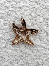 Afbeelding in Gallery-weergave laden, Broche - Zeester Kleurrijk