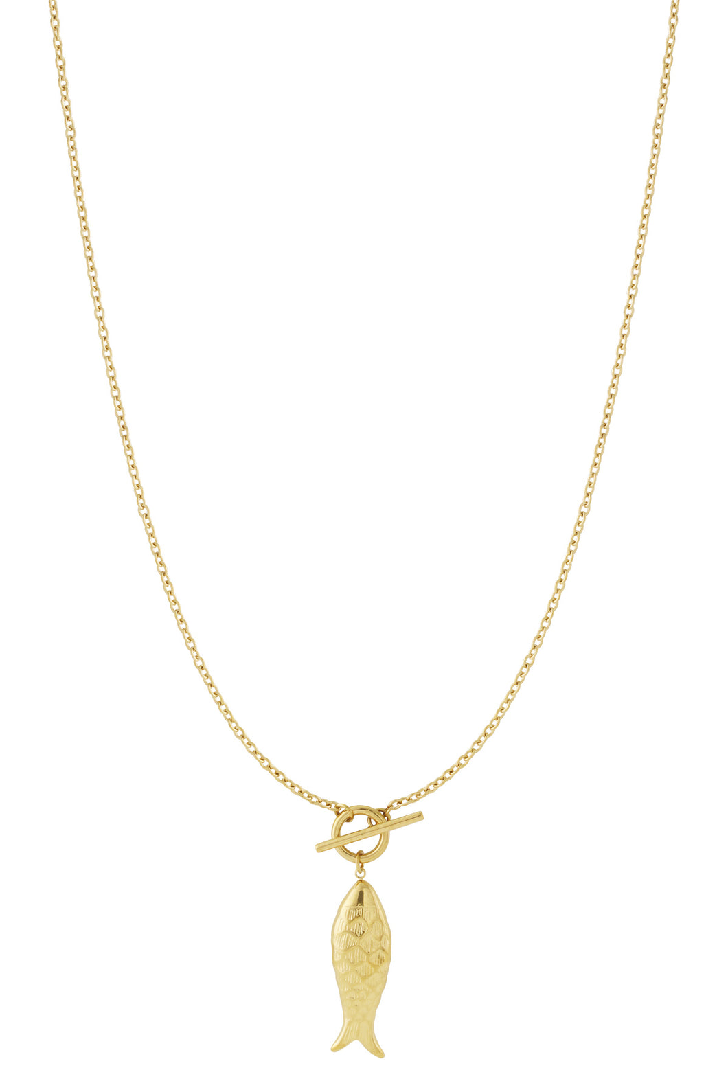 Ketting - Lang - Vis