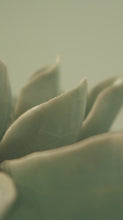 Video laden en afspelen in Gallery-weergave, Keramische bloem - Blue Dahlia
