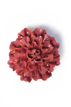 Afbeelding in Gallery-weergave laden, Keramische bloem - Pink Tundra
